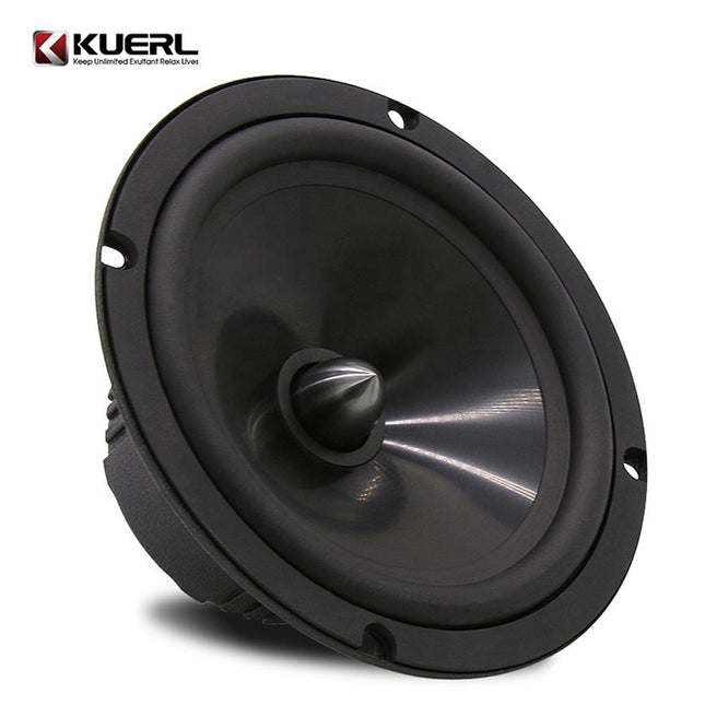 CarSound Pro 6.5” Altoparlanti